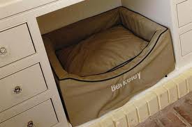 CAT BED1